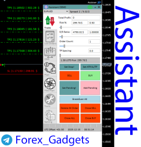 اکسپرت مدیریت سرمایه Assistant - ابزار هوشمند محاسبه حجم معاملات و مدیریت ریسک در متاتریدر 5